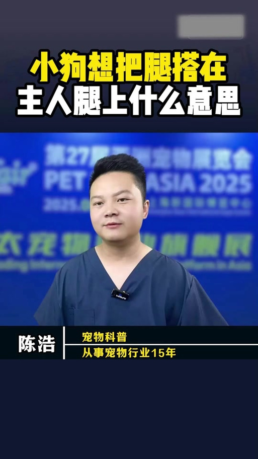 小狗爬向主人，依赖与情感的连接（小狗(人)爬过来叫主人）