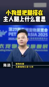 小狗爬向主人，依赖与情感的连接（小狗(人)爬过来叫主人）