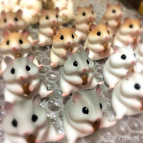 胖乎乎小仓鼠的日常生活（小仓鼠卡通图片萌死人）