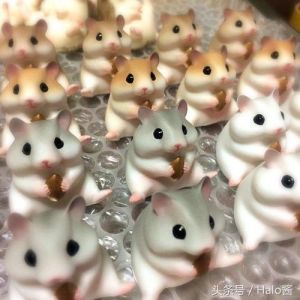 胖乎乎小仓鼠的日常生活（小仓鼠卡通图片萌死人）