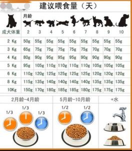 狗狗三个月成长期科学喂养指南（三个月狗狗喂食表）