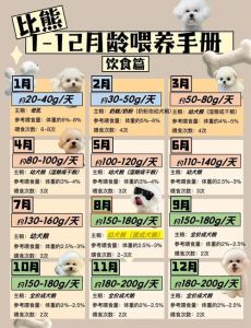 十五天到四十天喂养指南（十五天的小狗怎么喂养）