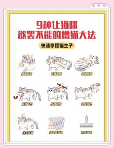 猫最讨厌摸尾巴肉垫肚子（猫咪最讨厌摸哪个部位）