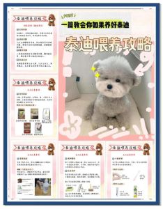 选粮环境健康训练陪伴（泰迪狗怎么喂养）