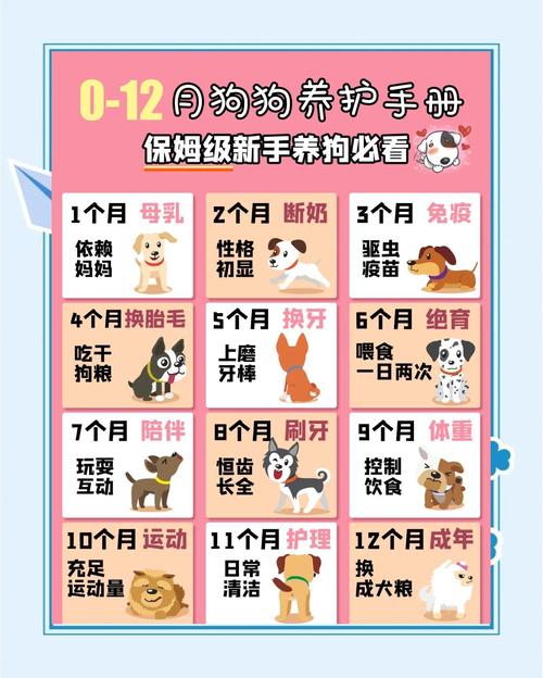 泡软幼犬粮帮断奶（刚断奶的狗狗怎么喂养）