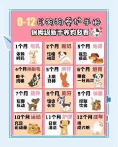 泡软幼犬粮帮断奶（刚断奶的狗狗怎么喂养）