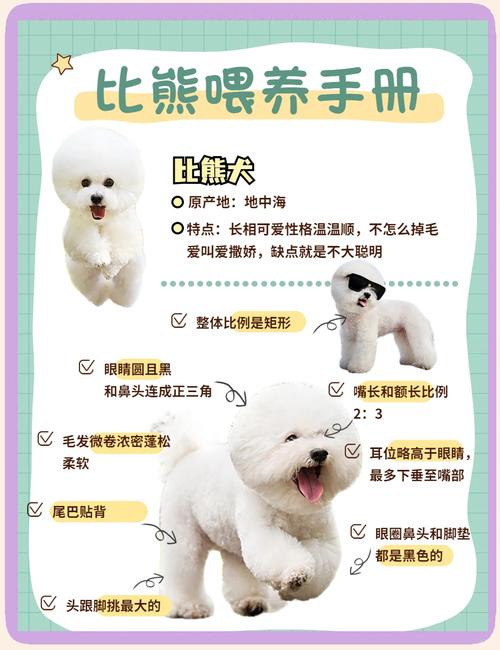 母乳羊奶粉，保暖疫苗，科学喂养（小奶狗喂养的方法）