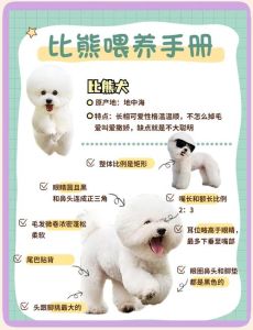 母乳羊奶粉，保暖疫苗，科学喂养（小奶狗喂养的方法）