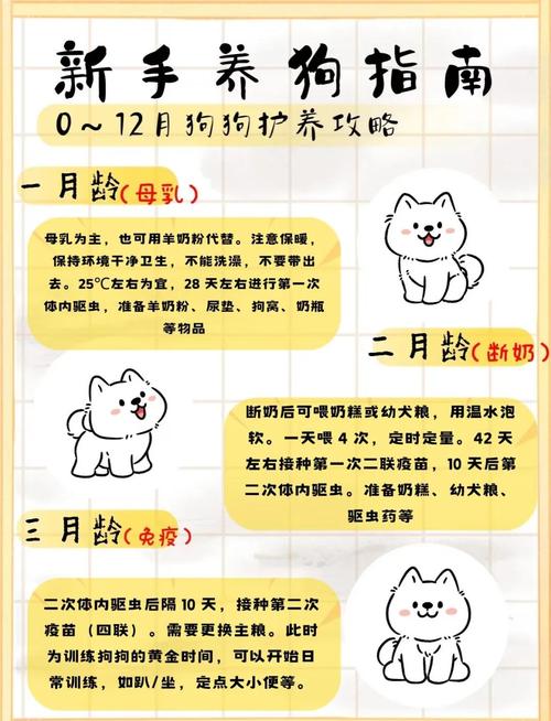 三月小狗快速长，选对狗粮少食多餐（三个月小狗喂养方法）
