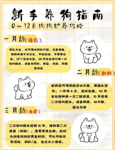 三月小狗快速长，选对狗粮少食多餐（三个月小狗喂养方法）