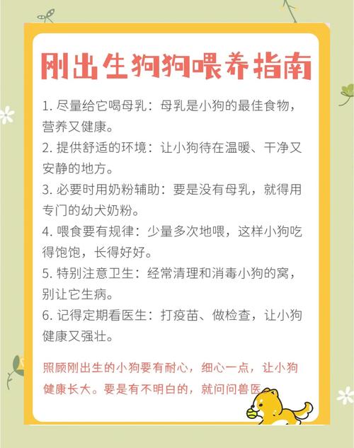 新手养小狗？学母爱，温奶粉，勤观察！（刚出生的小狗喂养）