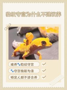 养蜥蜴合法吗？注意品种和规定！（蜥蜴中国可不可以养）