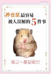 不建议混养仓鼠，单独饲养更安全（仓鼠为什么不能养一对）
