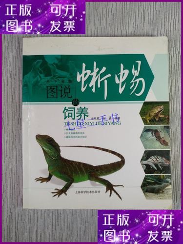 新手养蜥蜴，看这篇就够了！（图说蜥蜴的饲养）