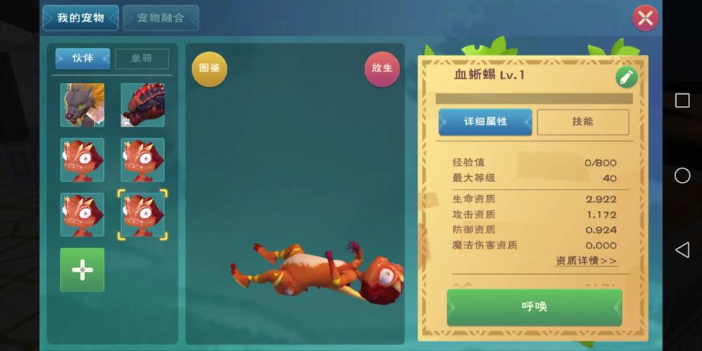 《创造与魔法》黄蜥蜴宠物实用，红蘑菇饲养，血蜥蜴捕捉技巧（创造与魔法什么蜥蜴可以饲养）