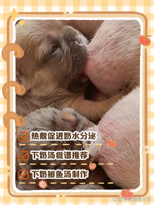 幼犬无乳？羊奶粉代乳粉喂养指南（奶狗奶不够吃解决方法）
