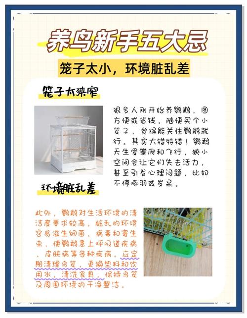 谨防鹦鹉热等健康风险（长期养鹦鹉的危害）
