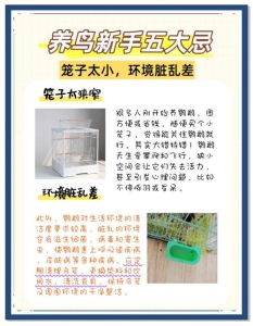 谨防鹦鹉热等健康风险（长期养鹦鹉的危害）