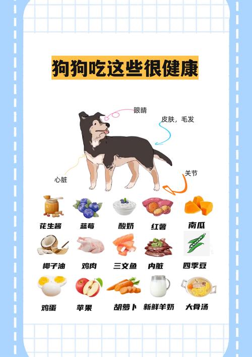 补蛋白钙，喂羊奶粉鲫鱼汤（刚生完小狗的狗吃什么好）