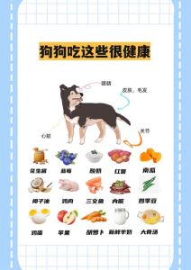 补蛋白钙，喂羊奶粉鲫鱼汤（刚生完小狗的狗吃什么好）