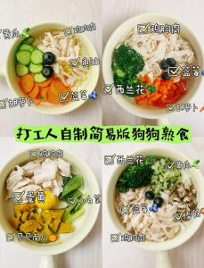 1-3个月营养食谱与禁忌（小狗1-3个月食谱大全）