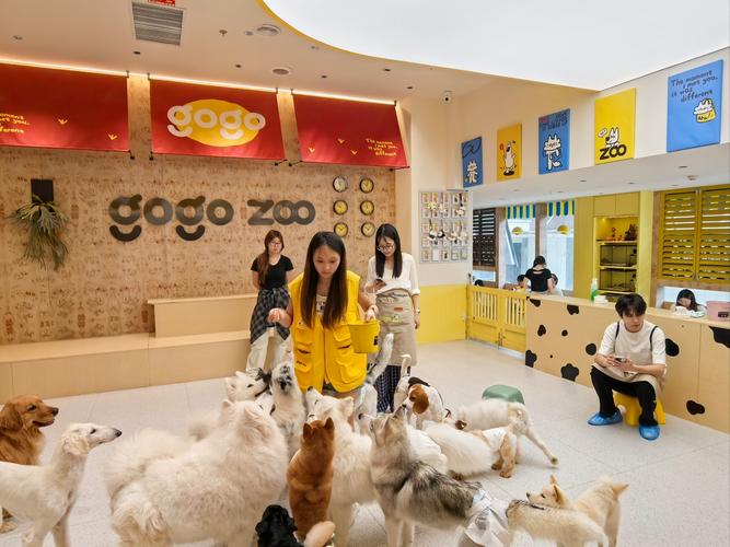 猫咪狗狗的温馨日常（萌宠生活馆背景图片）