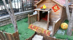 狗进不进狗窝？看环境习性和安全感（狗窝没有门狗会进去住吗）