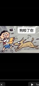 被打狗咬人防本能，正向引导更有效（狗叫打它就咬人）