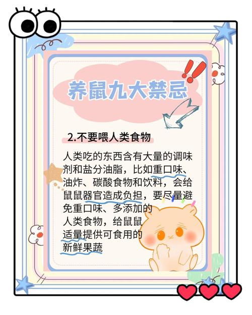 新手养仓鼠必看安全须知（仓鼠饲养新手有哪些禁忌）