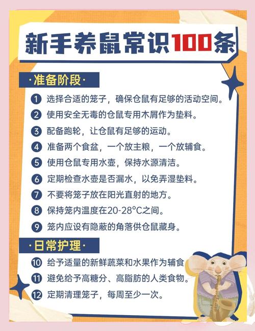 单独养仓鼠好，避免争斗和失控（仓鼠单独养容易死吗）