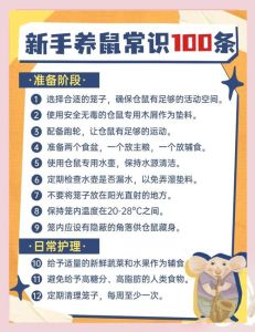 饮食环境注意事项（新手养仓鼠的十大禁忌）