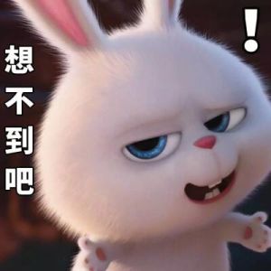 可爱有趣，聊天必备！（萌宠大作战兔子表情包）