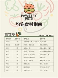 3个月幼犬科学喂养指南（1至3个月小狗吃什么）