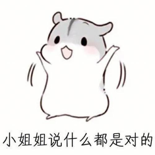 萌趣白黄，快乐传递！（小仓鼠表情包卡通白黄相间）