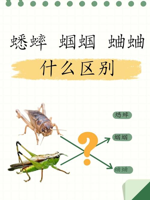环境饮食全知道！（家有宠物巧饲养之蟋蟀蝈蝈蜥蜴）