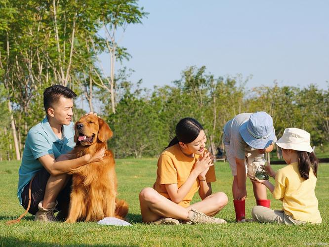 狗狗是孩子的好伙伴，带来治愈陪伴，促进亲子互动，教会爱与责任（亲子逗宠物图片）