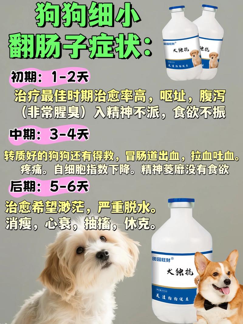 狗狗换肠是指什么？预防肠胃问题的小妙招（狗狗换肠子的6个征兆）