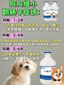 狗狗换肠是指什么？预防肠胃问题的小妙招（狗狗换肠子的6个征兆）