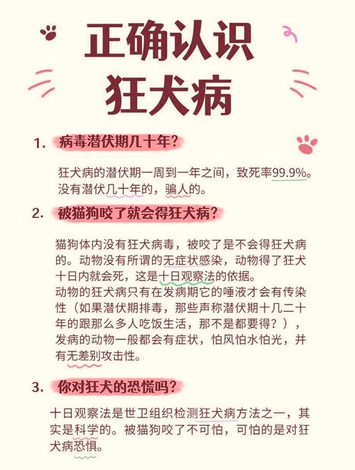 蜥蜴咬伤怎么办？简单处理防感染（被宠物蜥蜴咬了需要打疫苗吗）