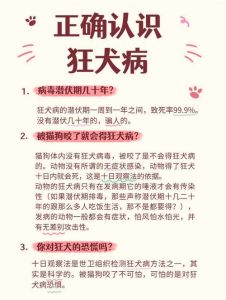 蜥蜴咬伤怎么办？简单处理防感染（被宠物蜥蜴咬了需要打疫苗吗）