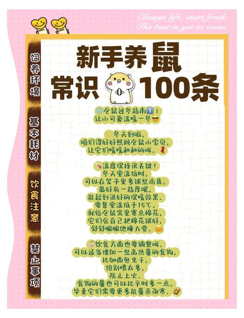 科学养仓鼠，快乐又长寿（小仓鼠怎么养能养更久）