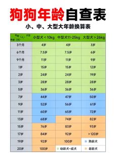狗狗13个月等于人类28岁？速看成长对照表！（小狗13个月相当于）