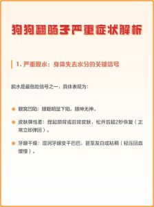 幼犬易翻肠，疫苗驱虫是关键（狗狗第几个月开始狗翻肠）