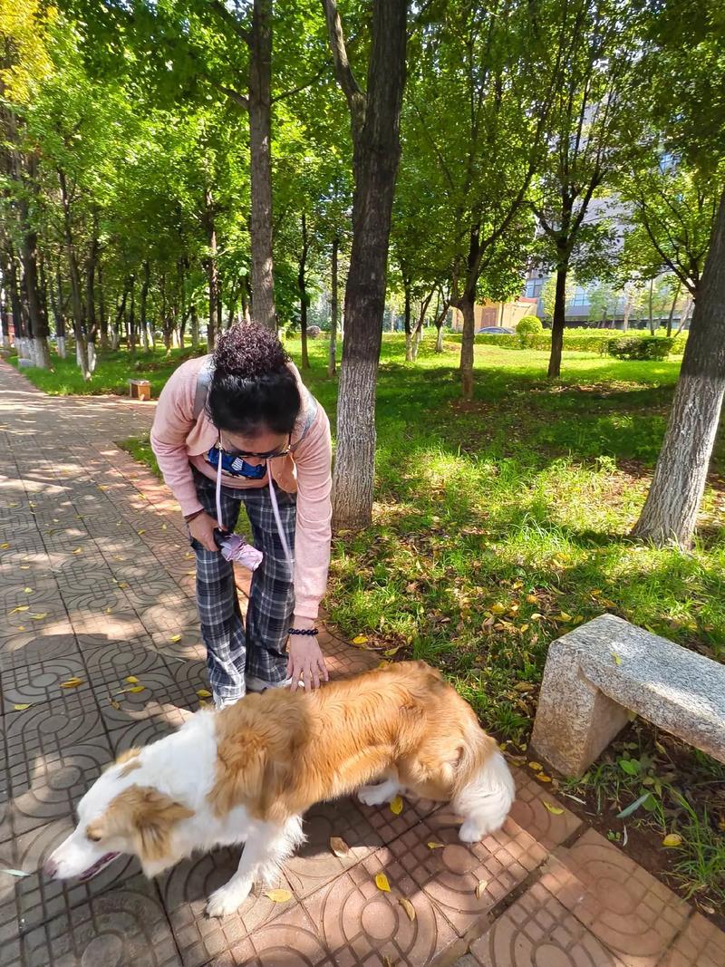 狗狗敏感部位勿乱摸，读懂肢体语言是关键（摸狗尾巴）