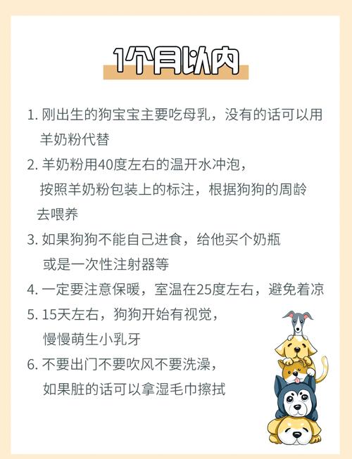 新狗适应指南（七天的小狗崽喂养方法）