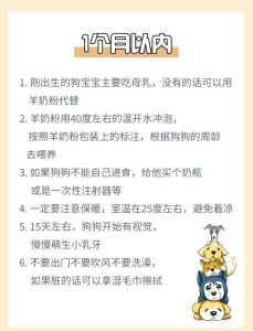 新狗适应指南（七天的小狗崽喂养方法）
