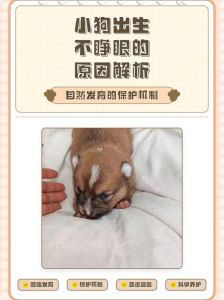 小狗十五天不睁眼怎么办？（小狗十五天不睁眼怎么处理）