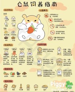 小仓鼠活力旺盛健康幸福的表现（若何知道小仓鼠被养的好不好）