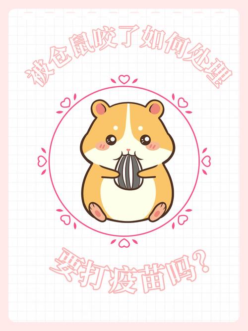 仓鼠咬伤要打针防感染（仓鼠咬人要打针吗）