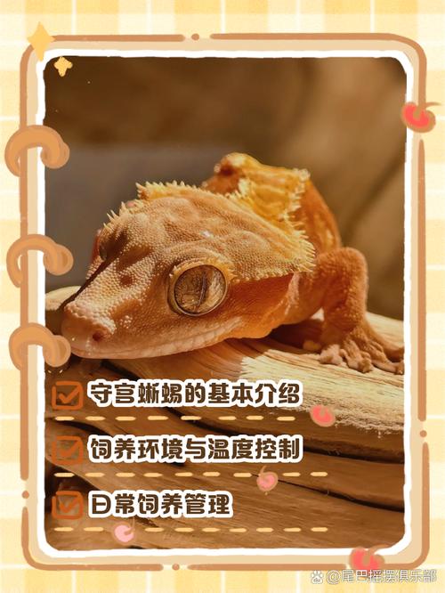 应对寒冷的奇妙策略（蜥蜴繁育冬眠的好处）